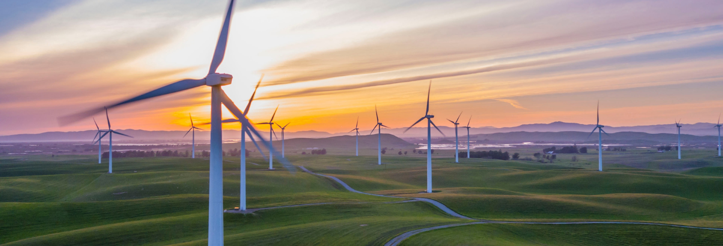Le BTS services à la protection de | l'Environnement